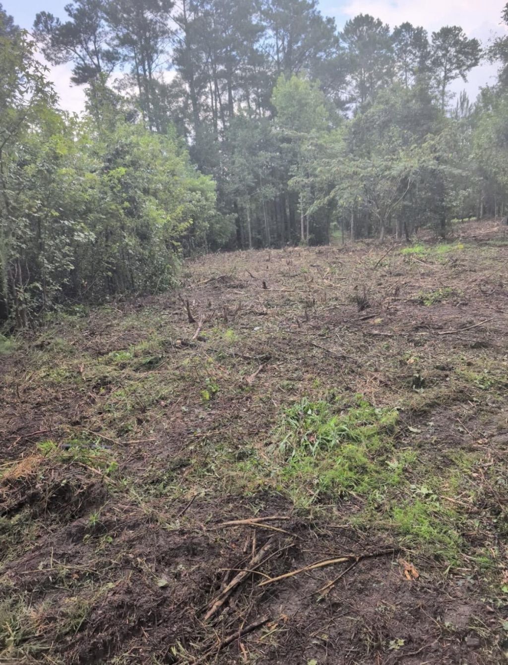 1 Abandon Lane Lane Photo 7