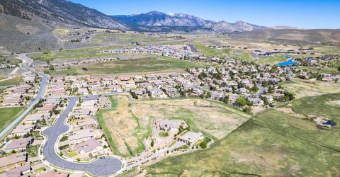 466 Egret Court, Genoa, NV 89411 Photo