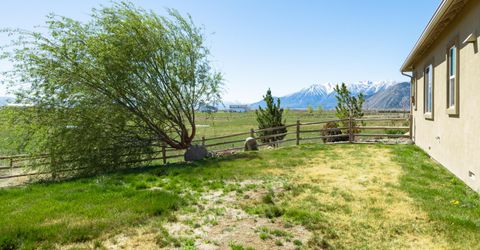 466 Egret Court, Genoa, NV 89411 Photo