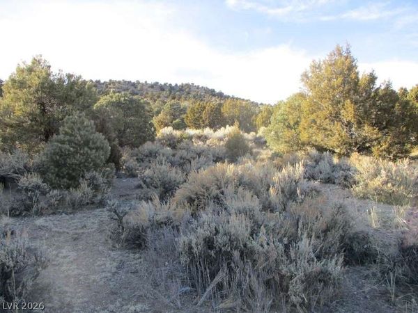 NV Hwy 322 (30.15 Ac) , Pioche, NV 89043