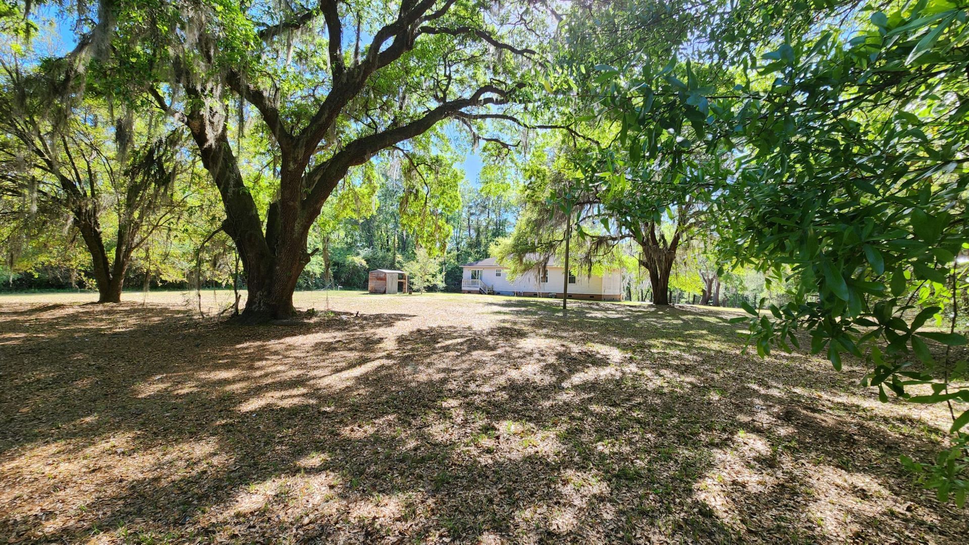 5024 Mauss Hill Road Photo 6