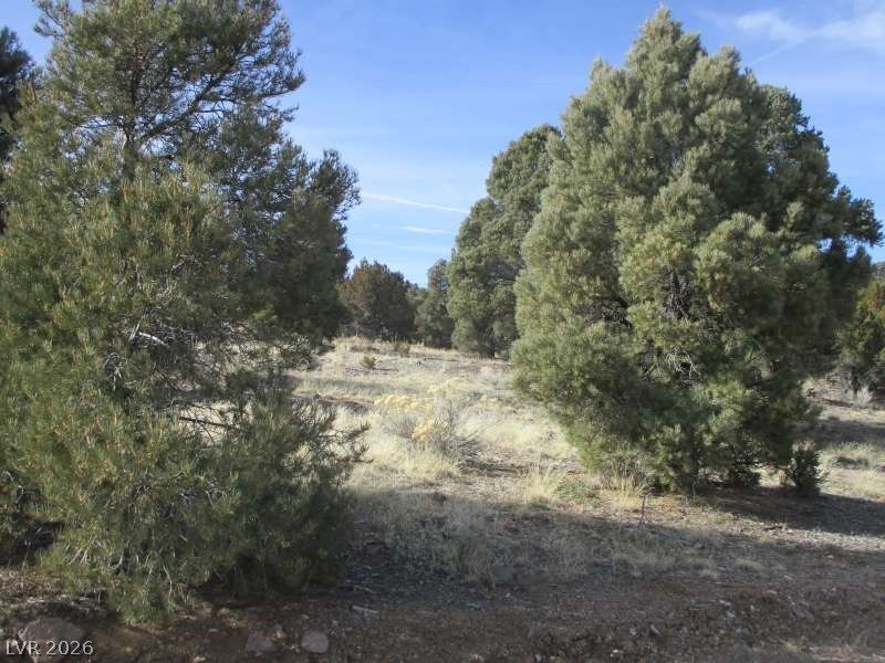 NV Hwy 322 (13.753 Ac) , Pioche, NV 89043