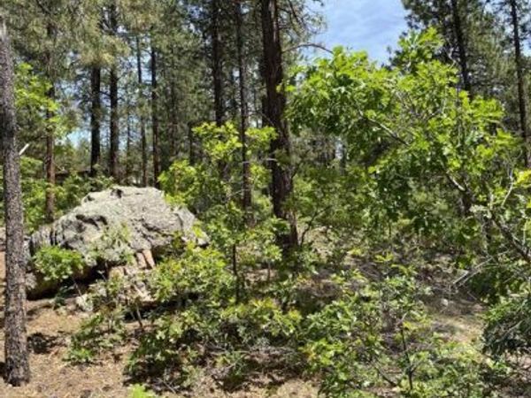 163 BOULDER VIEW Drive, Durango, CO 81301