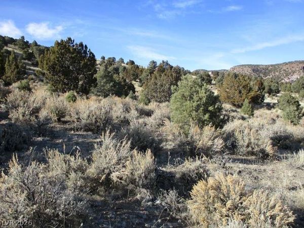 NV Hwy 322 (10.012 Ac) , Pioche, NV 89043