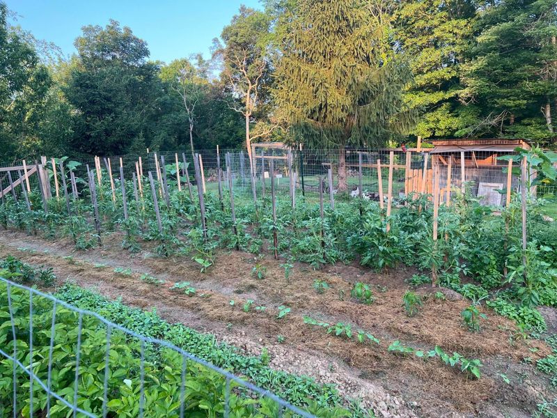 7899 Township Road 390 , Corning, OH 43730 Photo 55