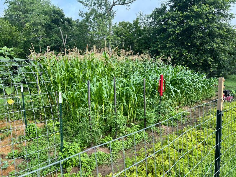 7899 Township Road 390 , Corning, OH 43730 Photo 56