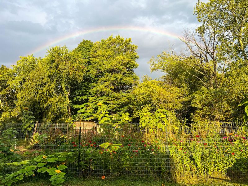 7899 Township Road 390 , Corning, OH 43730 Photo 58