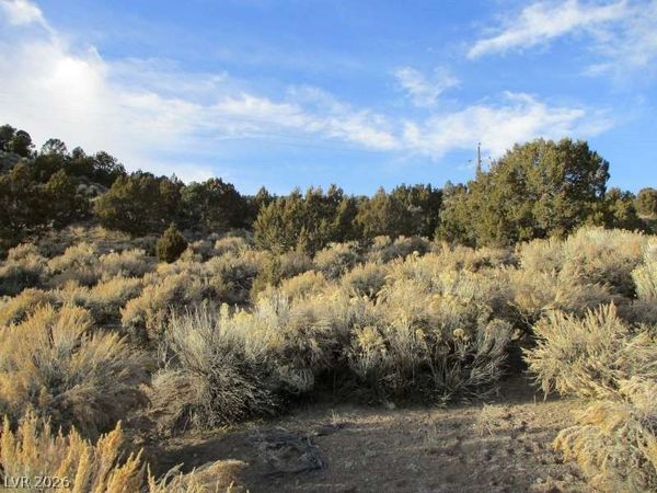 NV Hwy 322 (9.86 Ac) , Pioche, NV 89043