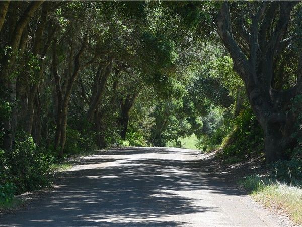 4144 Harmony Valley Road, Harmony, CA 93435