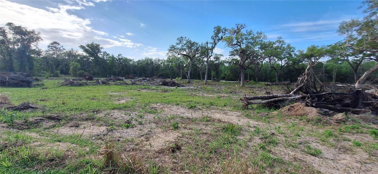 7242 Elaine Drive , Webster, FL 33597 Photo