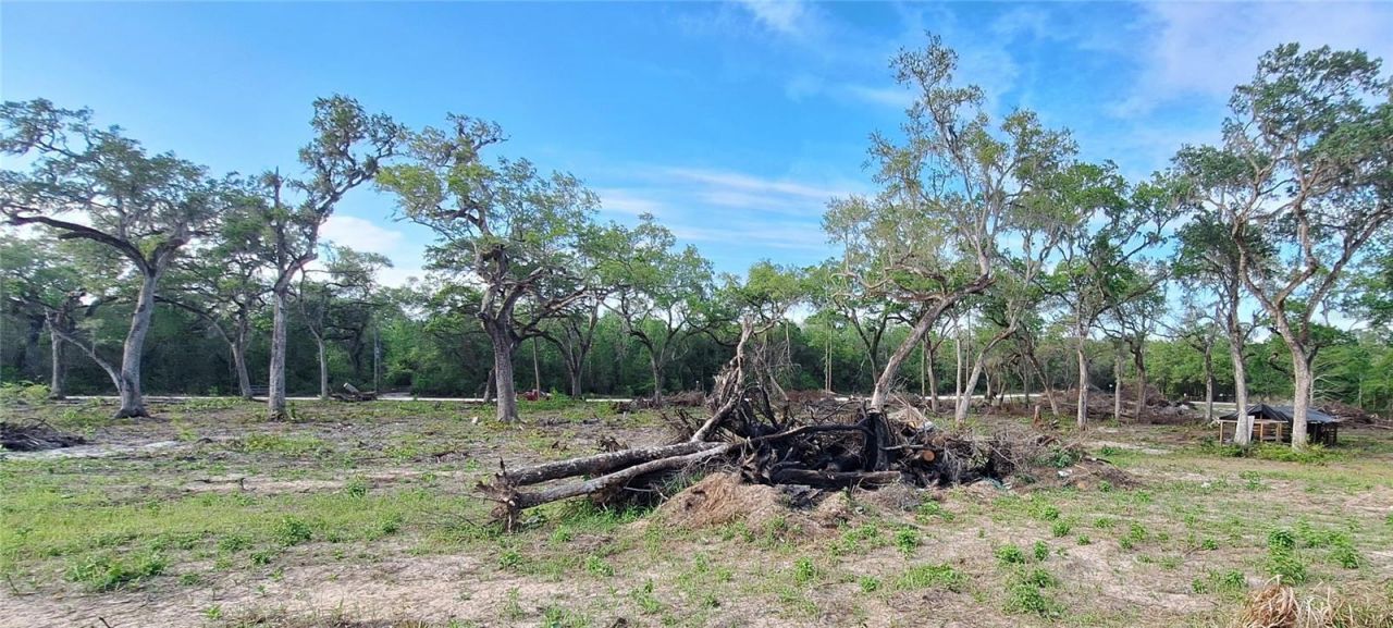 7242 Elaine Drive , Webster, FL 33597 Photo