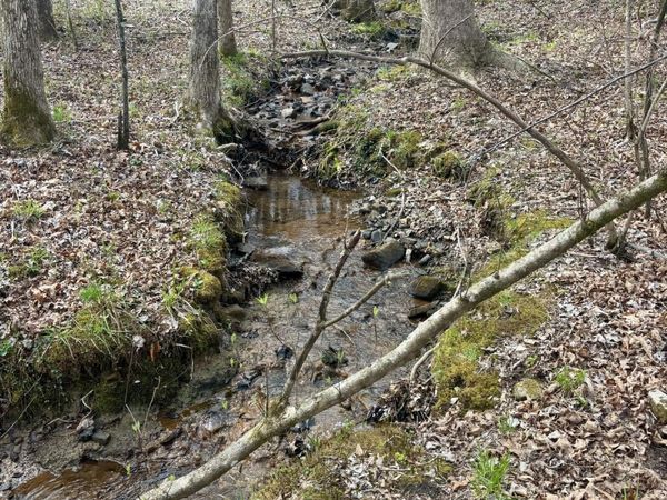 0 Crystal Point, Monterey, TN 38574