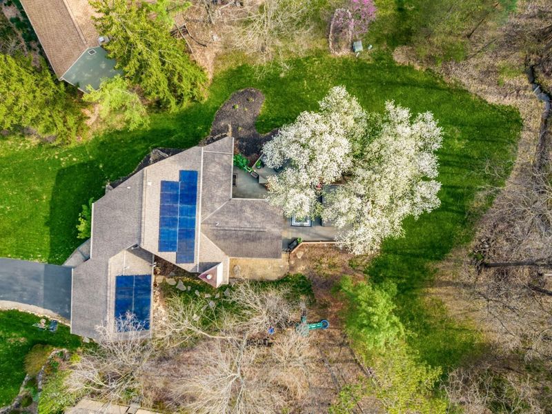 83 Forest Ridge Court, Powell, OH 43065 Photo 3