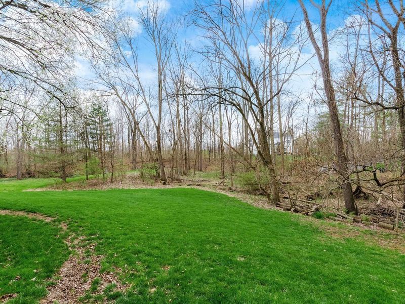 83 Forest Ridge Court, Powell, OH 43065 Photo 46