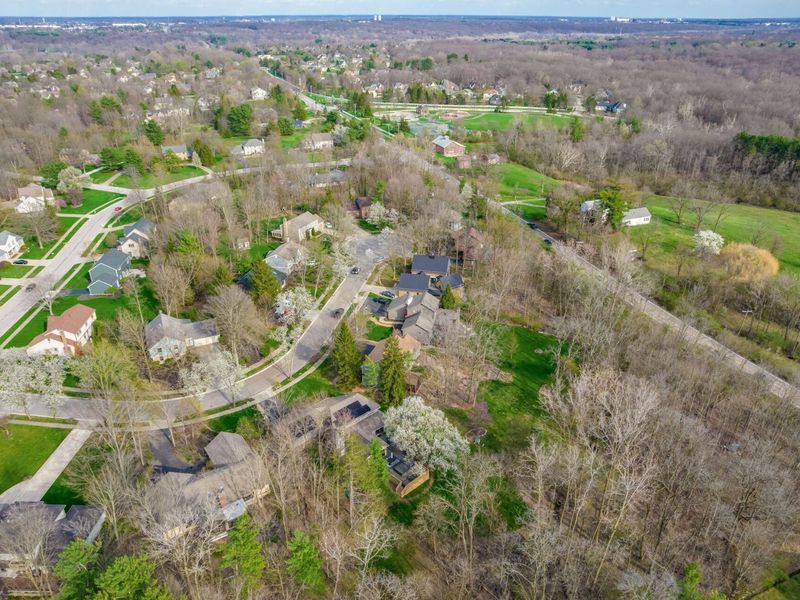 83 Forest Ridge Court, Powell, OH 43065 Photo 55