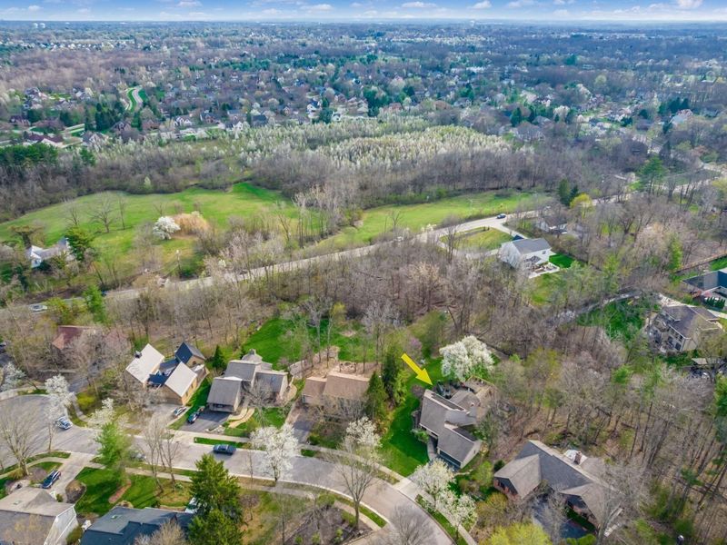 83 Forest Ridge Court, Powell, OH 43065 Photo 56