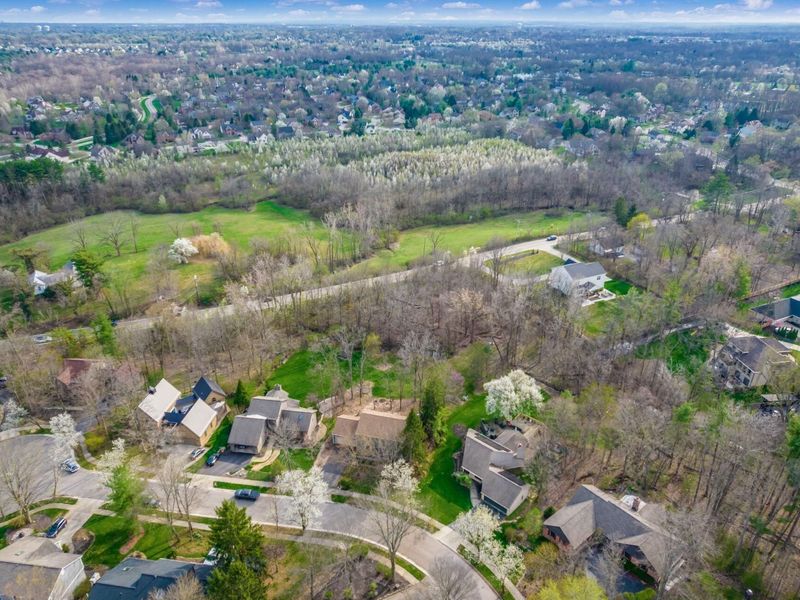 83 Forest Ridge Court, Powell, OH 43065 Photo 57