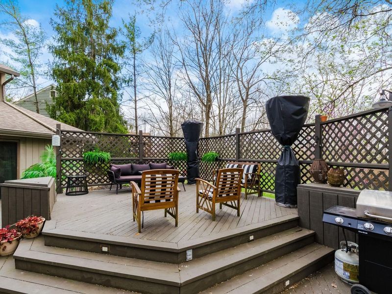 83 Forest Ridge Court, Powell, OH 43065 Photo 6