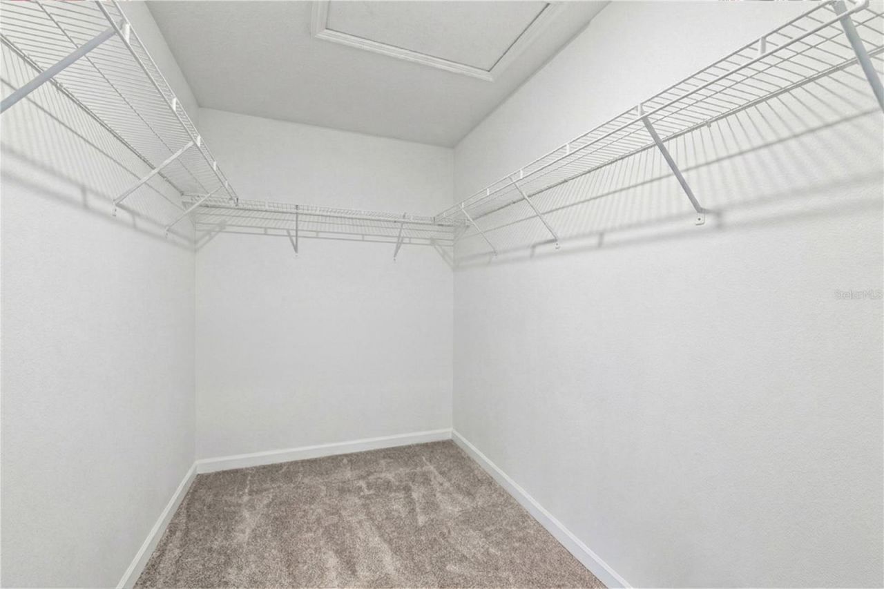 10768 Rhett Butler Alley, Winter Garden, FL 34787 Photo