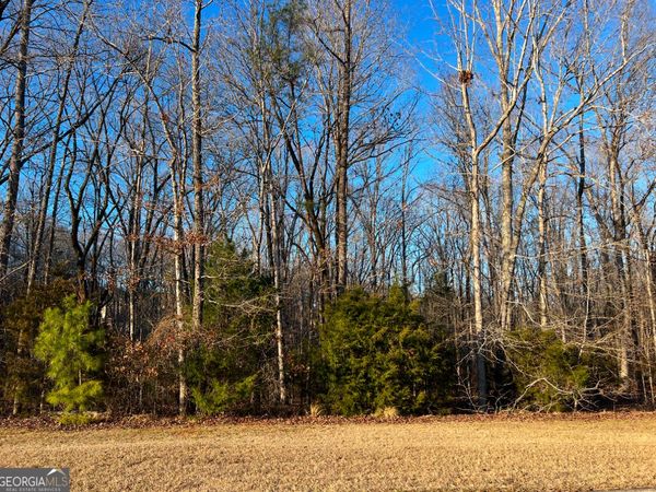 104 Gardens Drive, Forsyth, GA 31029