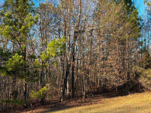 108 Gardens Drive, Forsyth, GA 31029