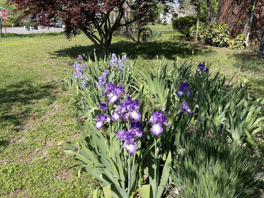 Property Image 64