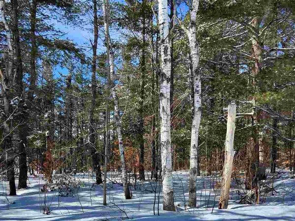 9960 Northridge Dr., Unit 77, Mancelona, MI 49659