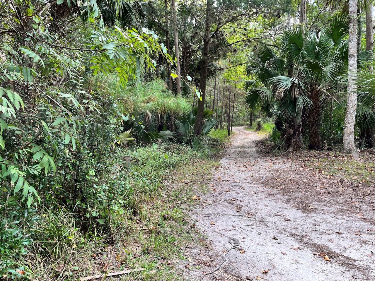 3012 NE 104th Avenue , Silver Springs, FL 34488 Photo