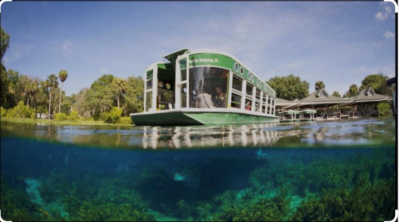 3012 NE 104th Avenue , Silver Springs, FL 34488 Photo