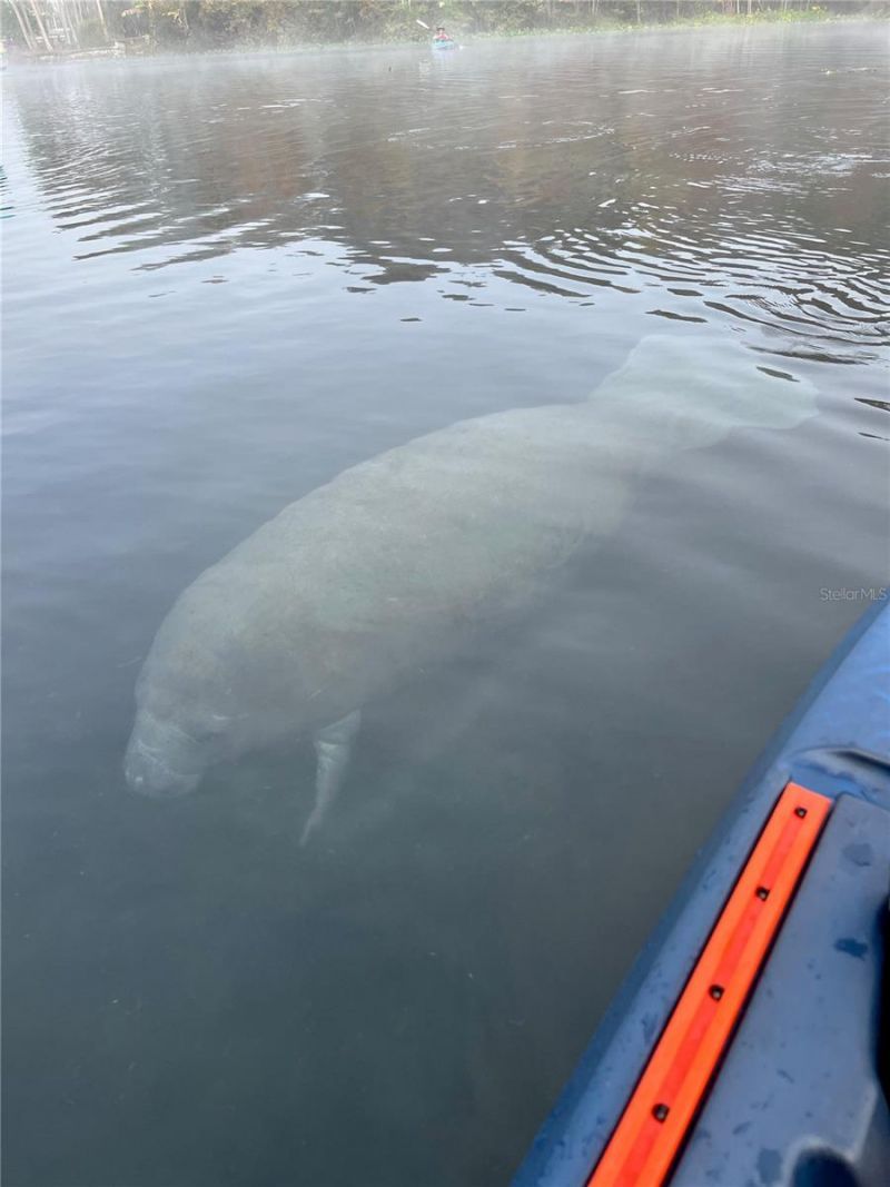 3012 NE 104th Avenue , Silver Springs, FL 34488 Photo