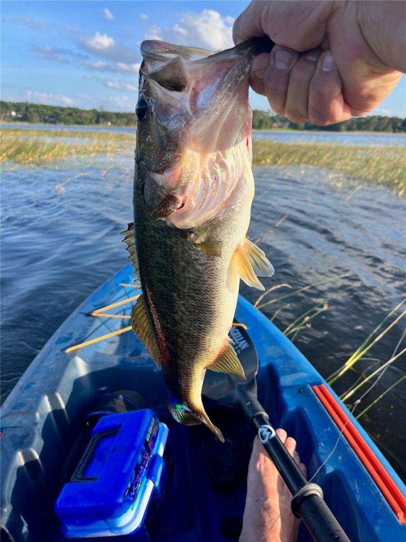 3012 NE 104th Avenue , Silver Springs, FL 34488 Photo