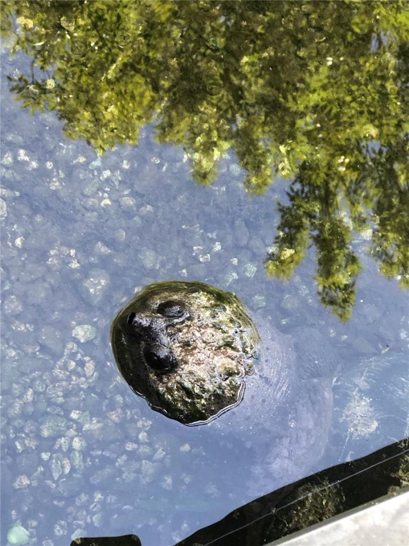 3012 NE 104th Avenue , Silver Springs, FL 34488 Photo