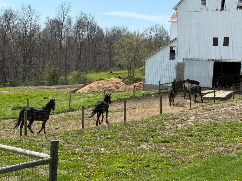 11284 State Route 668 N, Somerset, OH 43783 Photo 2