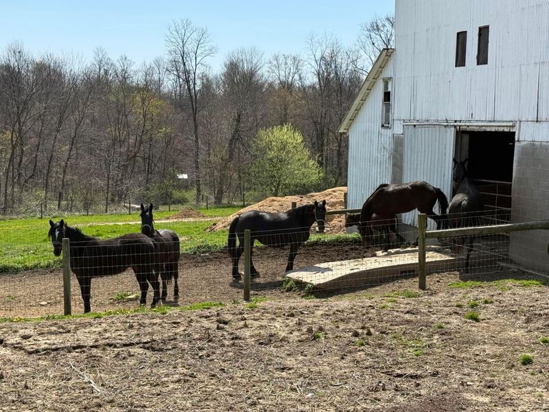 11284 State Route 668 N, Somerset, OH 43783 Photo 45