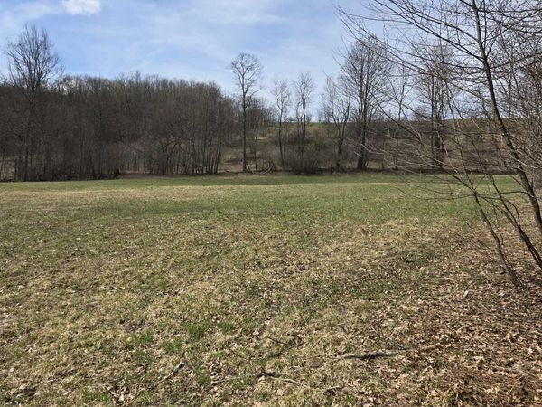 0 Cupps Run Road, Terra Alta, WV 26764