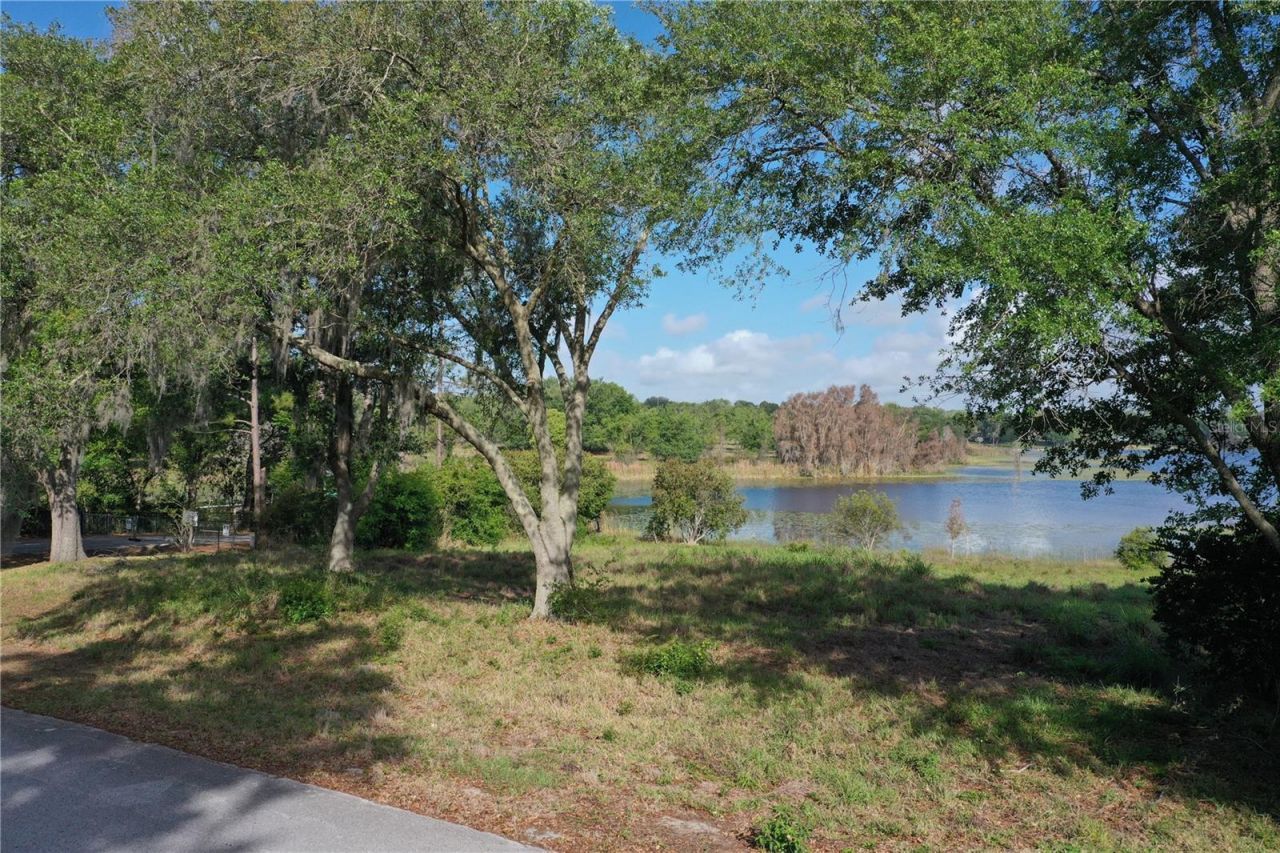 Denali Drive, Clermont, FL 34711 Photo