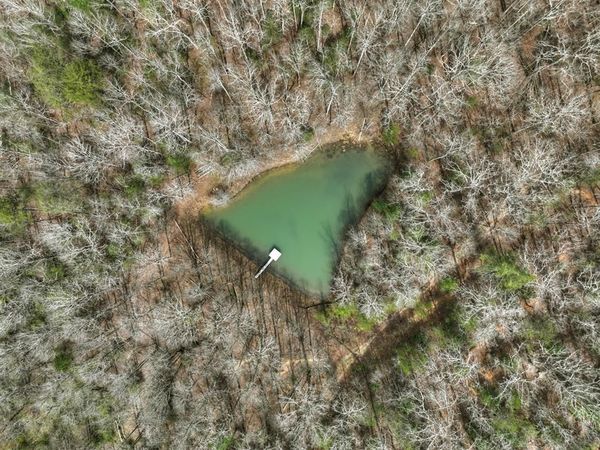 8.52 AC McNelley Road, Morganton, GA 30560