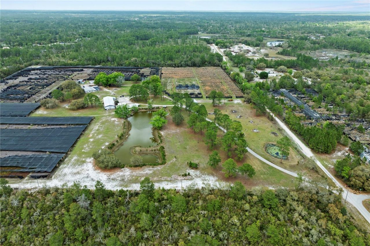 40945 Beach Road , Eustis, FL 32736 Photo