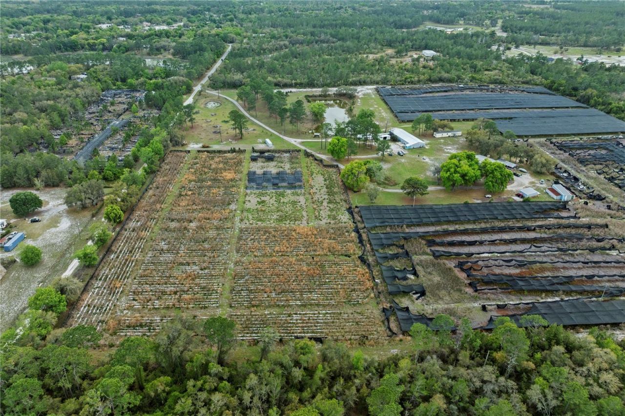 40945 Beach Road , Eustis, FL 32736 Photo