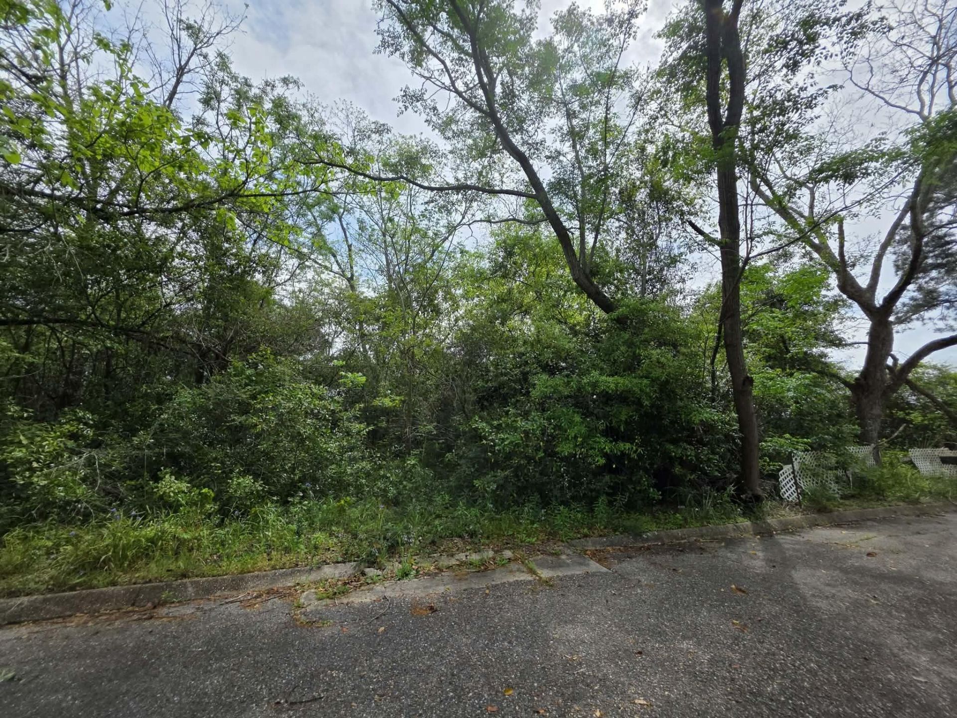 Lot 3 & 4 Gordon Road, Florala, AL 36442 Main Photo