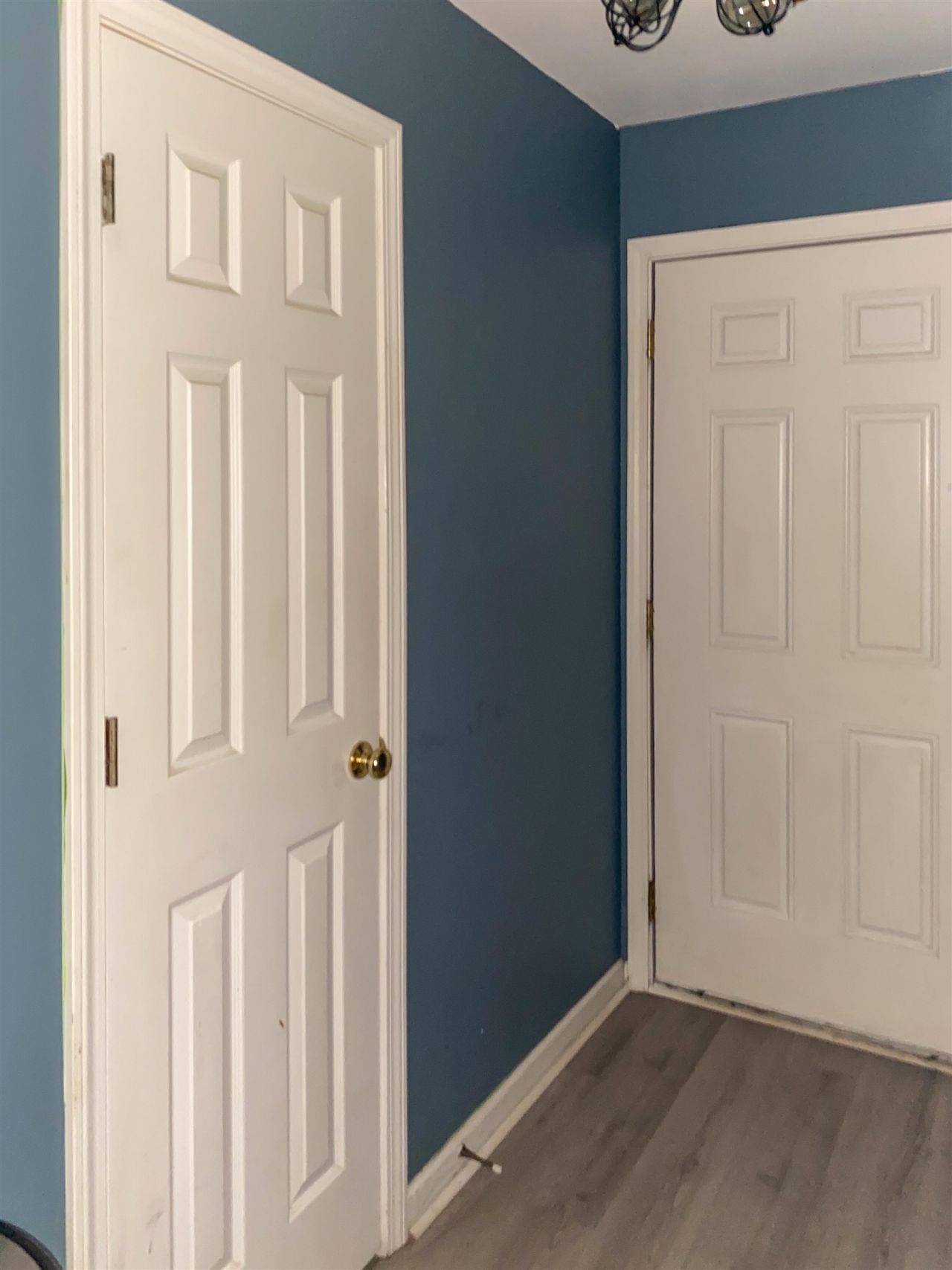 3673 Clay Pond Village Ln.  Photo 38