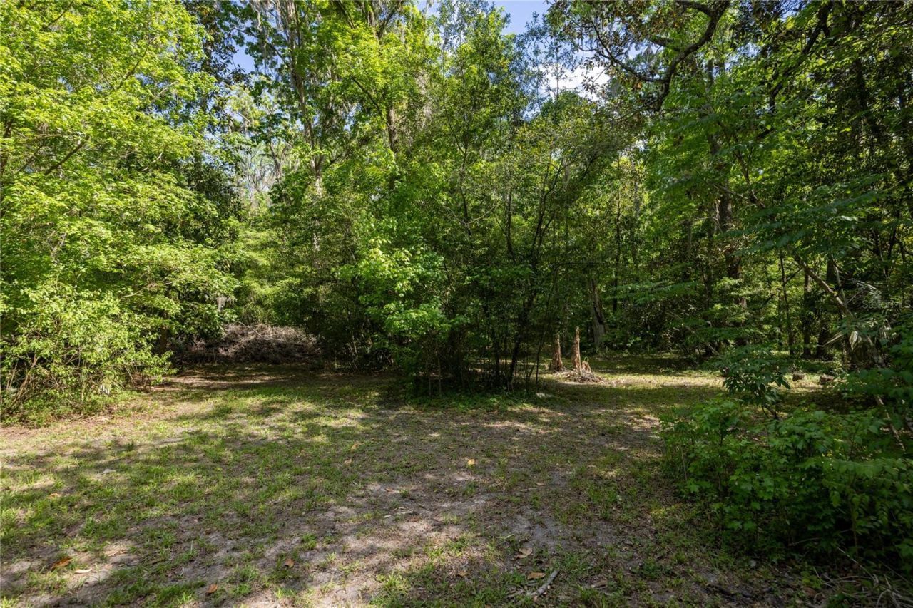 3519 NW 30th Boulevard, Gainesville, FL 32605 Photo