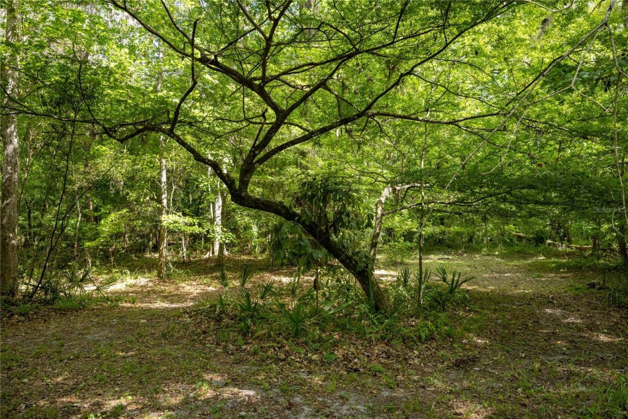 3519 NW 30th Boulevard, Gainesville, FL 32605 Photo