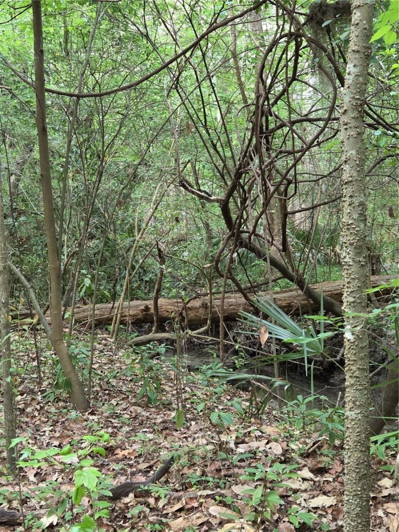 3519 NW 30th Boulevard, Gainesville, FL 32605 Photo