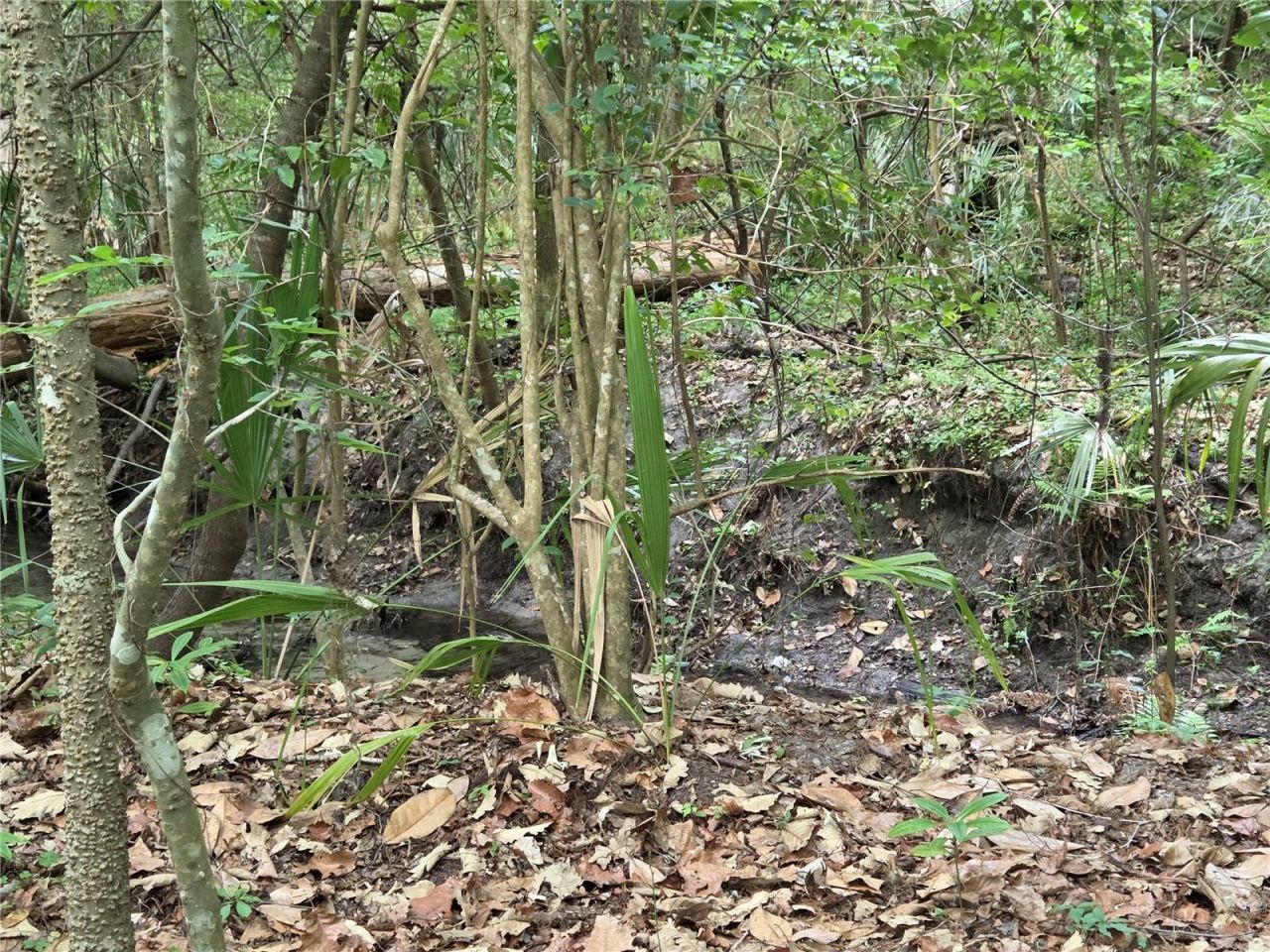 3519 NW 30th Boulevard, Gainesville, FL 32605 Photo