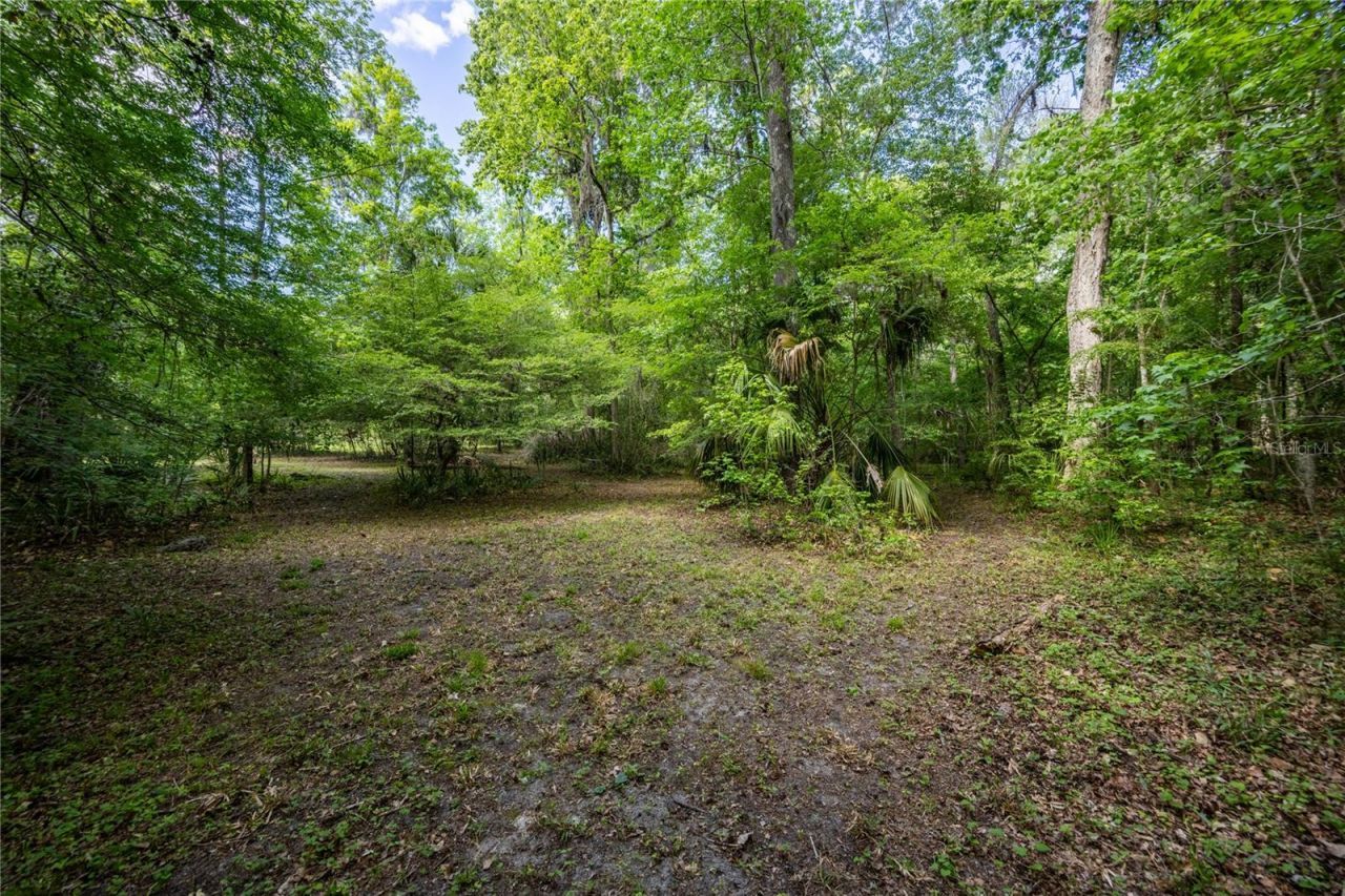 3519 NW 30th Boulevard, Gainesville, FL 32605 Photo