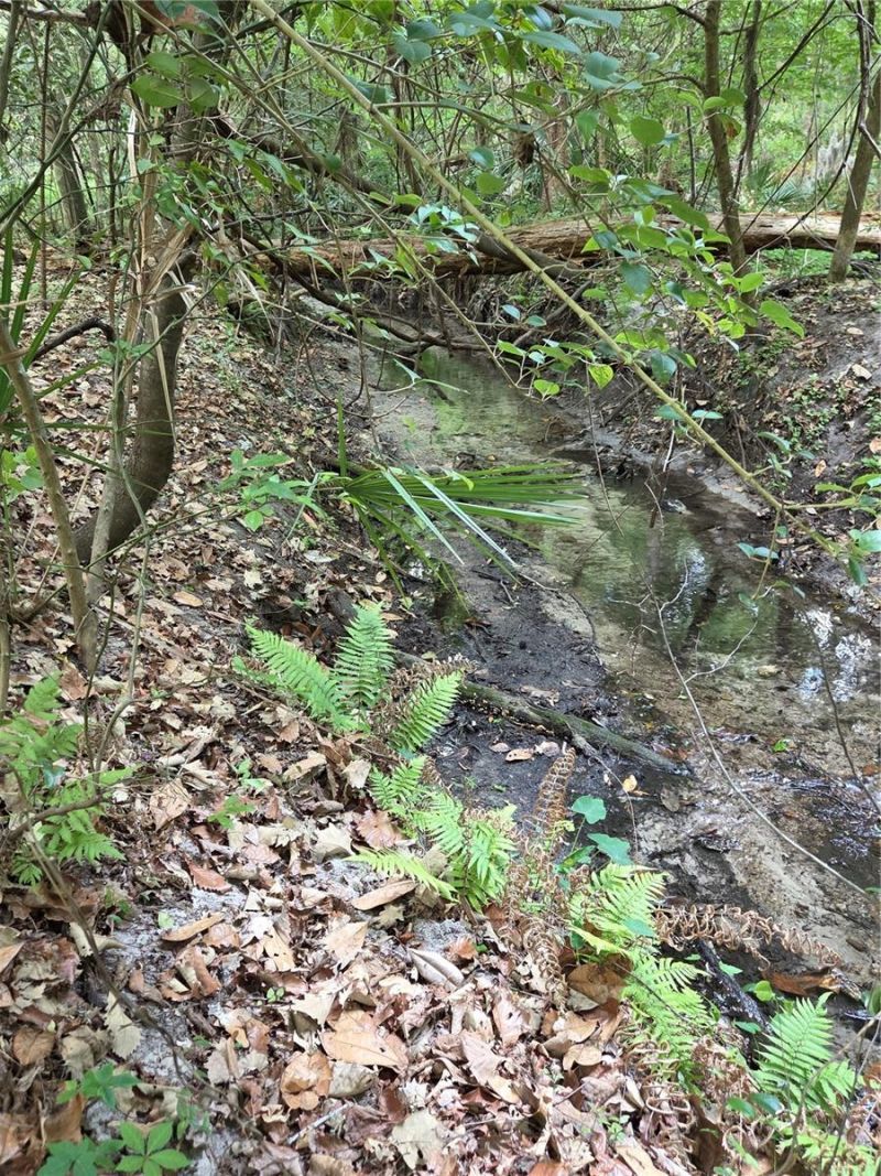 3519 NW 30th Boulevard, Gainesville, FL 32605 Photo