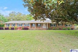 839 Wedgefield Rd photo 4