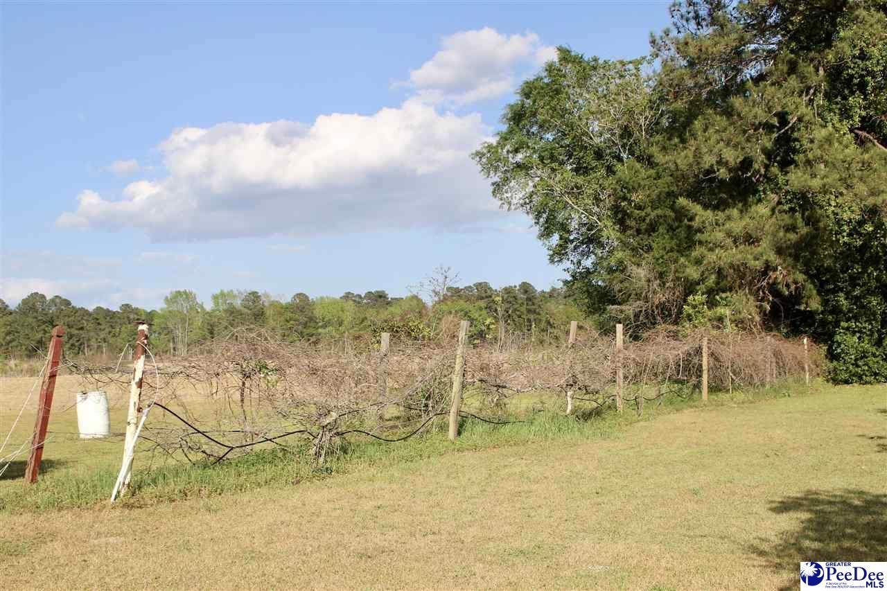 275 Mccutcheon Rd Photo 22