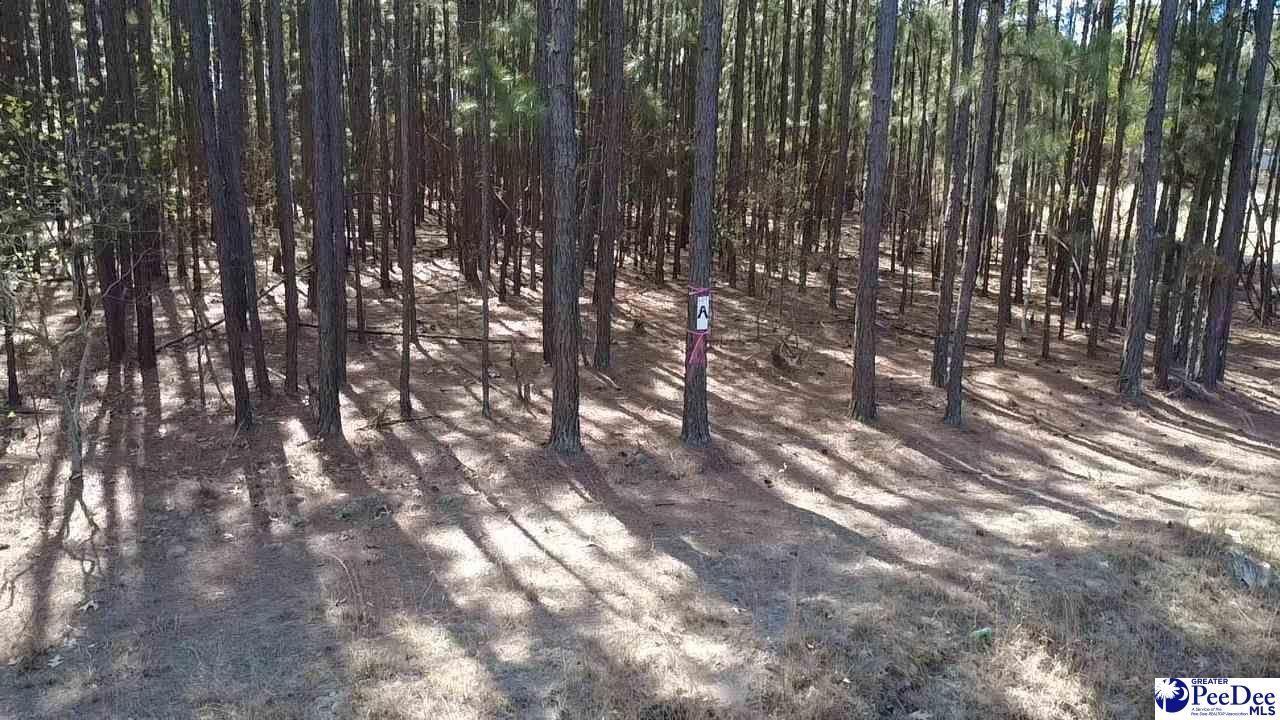 Tbd Freeman Rd (lot A) Photo 4